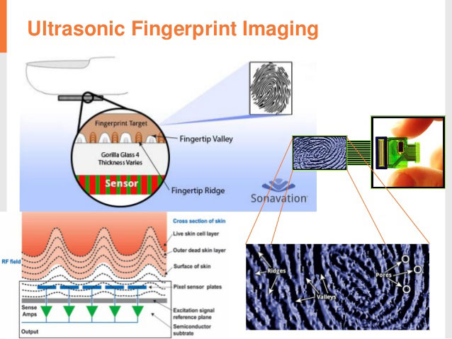 Representation of an ultrasonic fingerprint reader