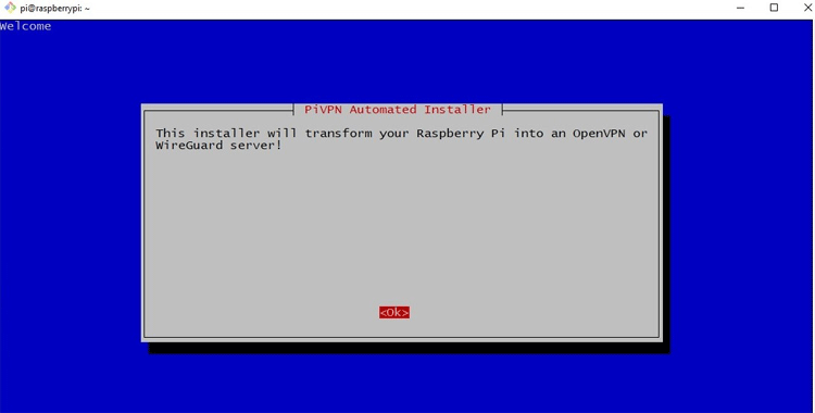 Convert Raspberry Pi into OpenVPN