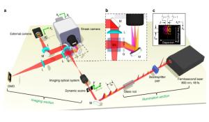 Compressed Ultrafast Spectral Photography
