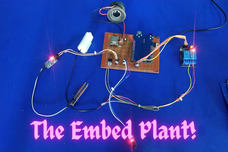 The Embed Plant