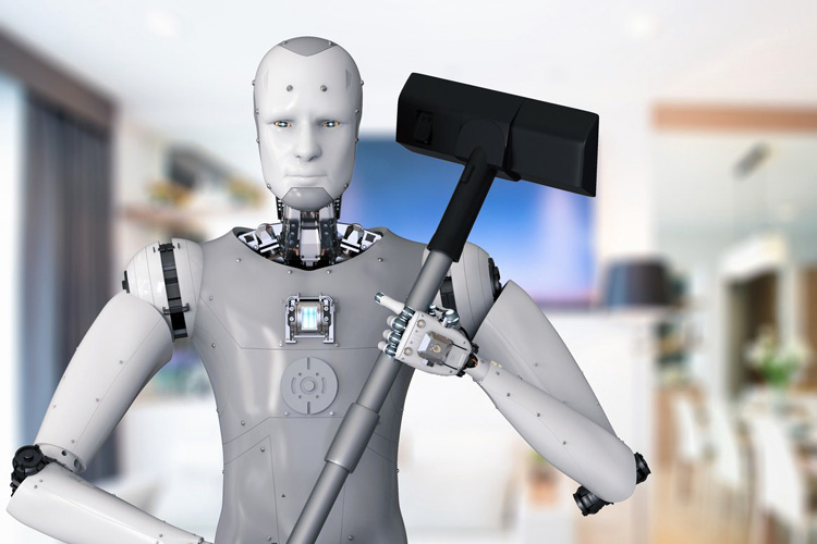 Consumer Service Robots