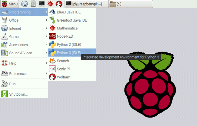raspberry pi writing python program