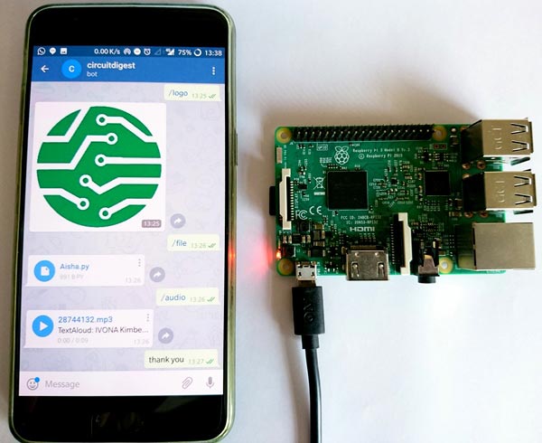 Установка telegram на raspberry pi