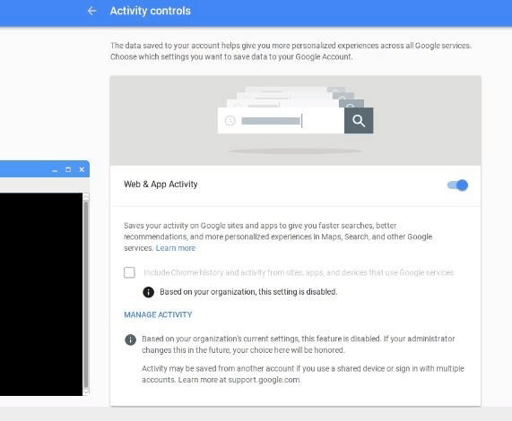 Activity Controls Google Assistant API