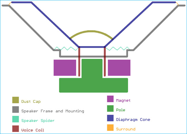 Construction of a Speaker