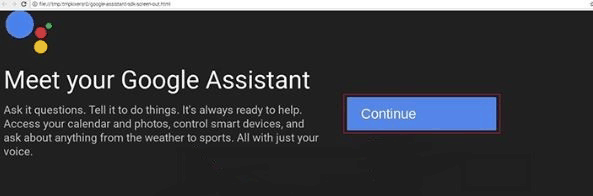 Meet your Google Assistant