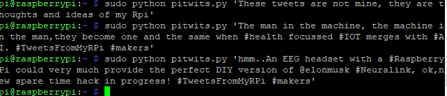 Raspberry Pi Twitter Bot using Python