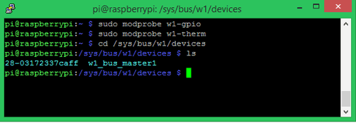 Raspberry Pi terminal window