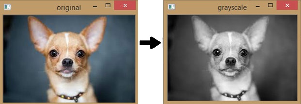 Converting Colored Image to Greyscale Image using OpenCV.