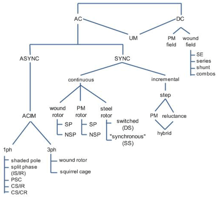 Basic Motor Theory (11)