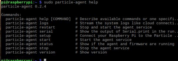 particle local cloud on raspberry pi