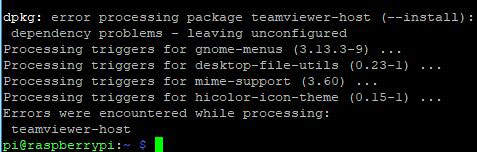raspberry pi teamviewer or teamveir host