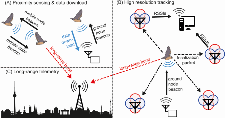 Backpack Computers with Wireless Networks for Animal Tracking 