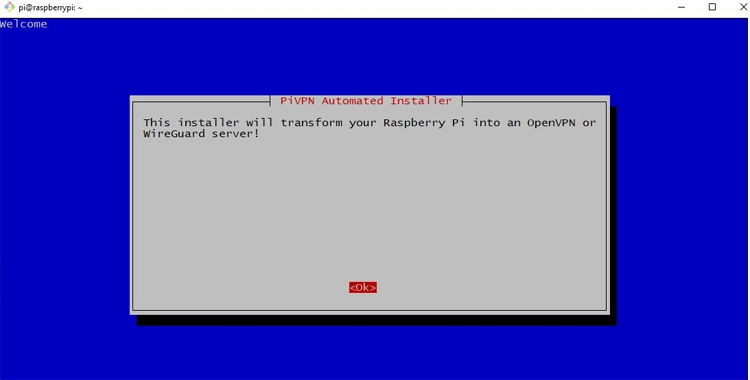 raspberry pi openvpn private internet access