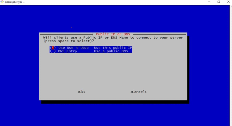 Public IP Address in Raspberry Pi Console