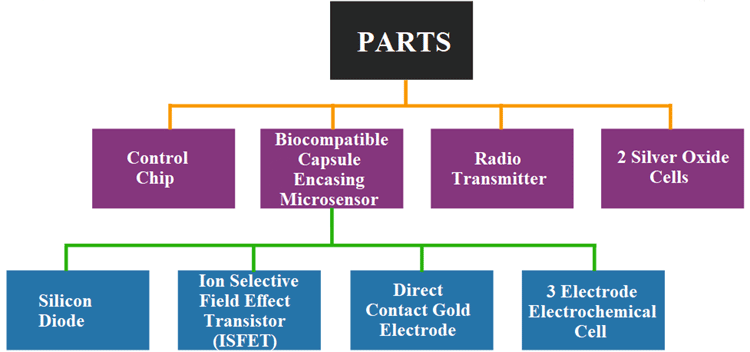 Electronic Pill Internal Parts Block Diagram