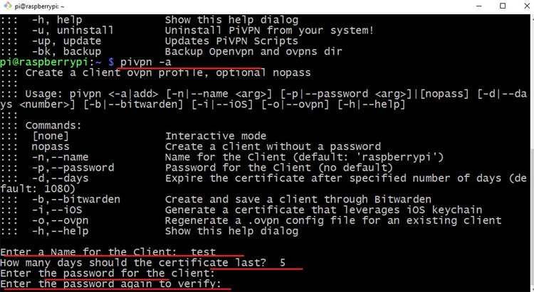 Installing OpenVPN in Raspberry Pi Zero
