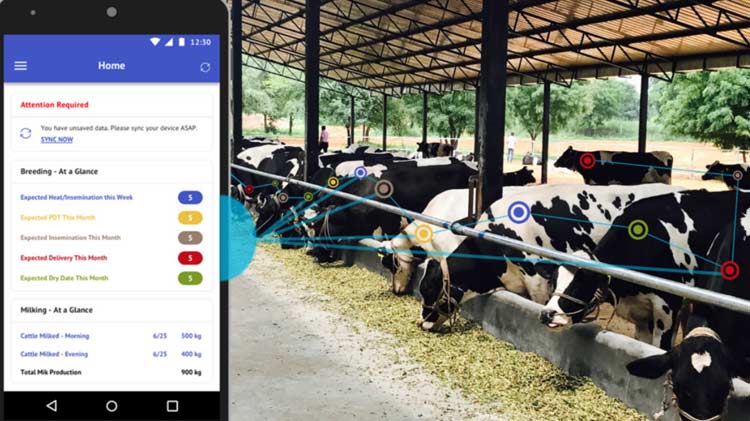 IoT-Based Livestock Monitoring