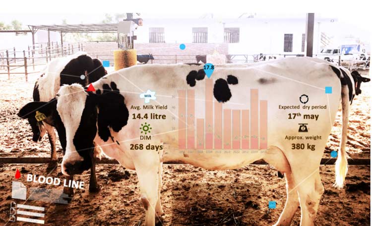 Role of IoT in Promoting Livestock Health through Remote Monitoring and ...