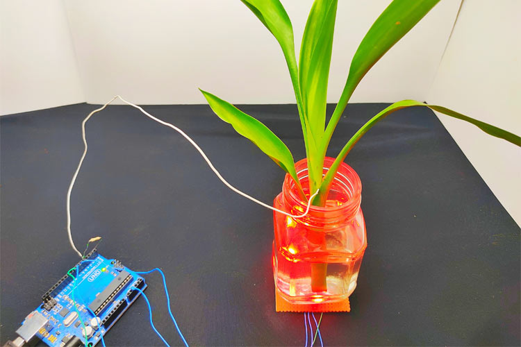 Arduino based Color Changing Plant