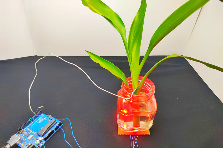 Color Changing Plants using Arduino 