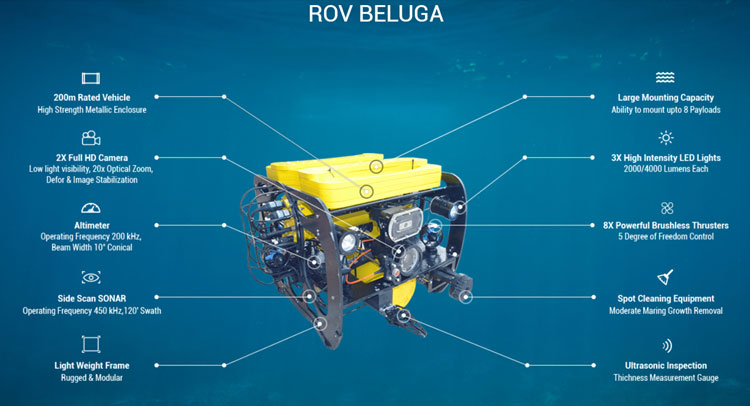 ROV Beluga Underwater Robot