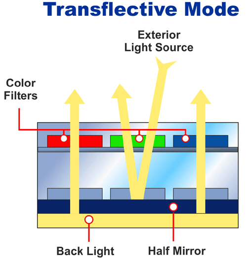 Trans-reflective LCD Polarizer