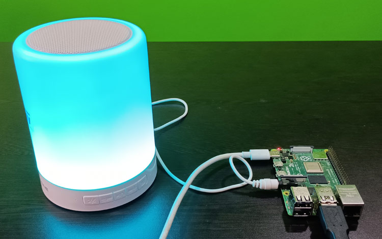 homemade alexa raspberry pi