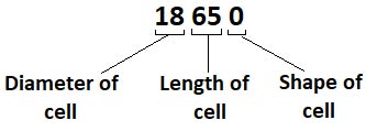 Nomenclature of 18650 Cell