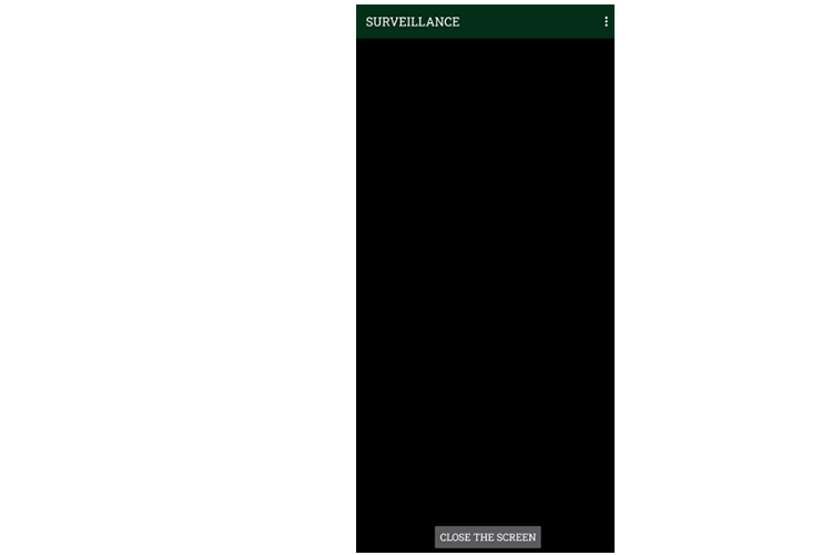 Surveillance Screen