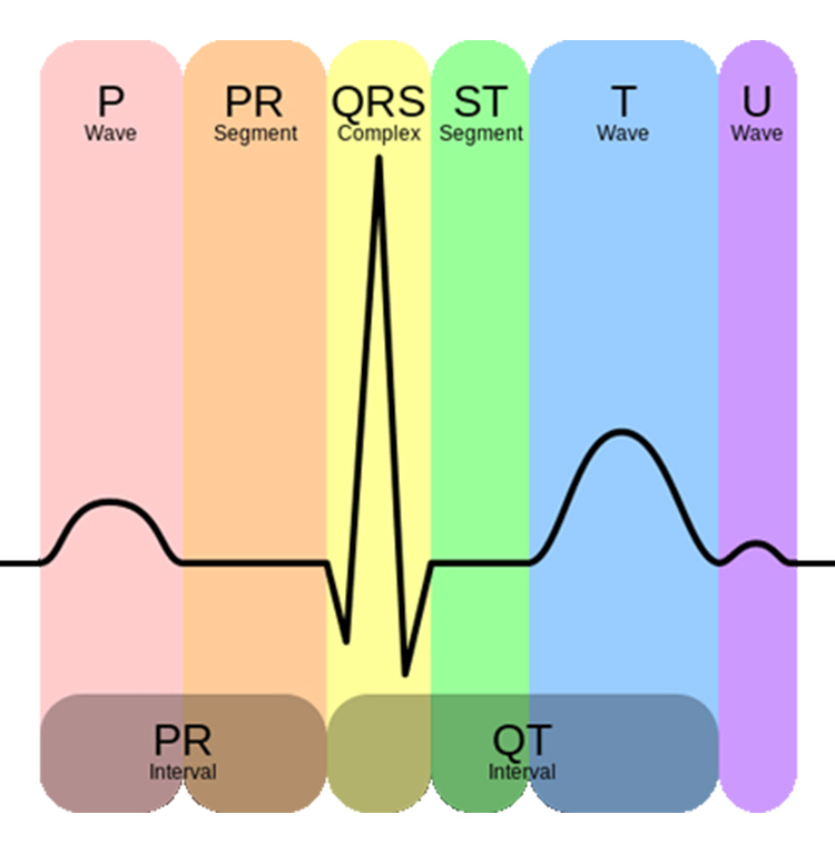 Heart Rate Monitor Sensor Module reading