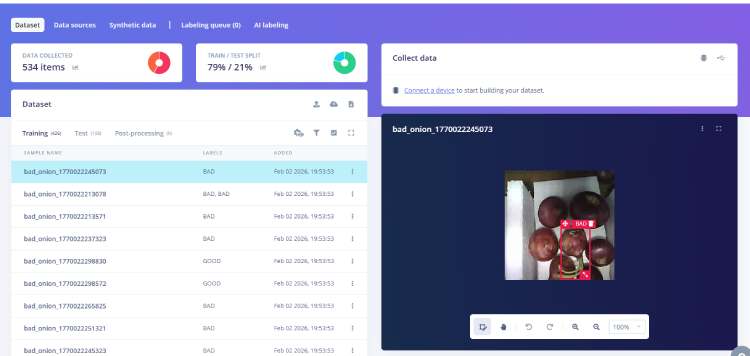 AgriSafe Model Training 1