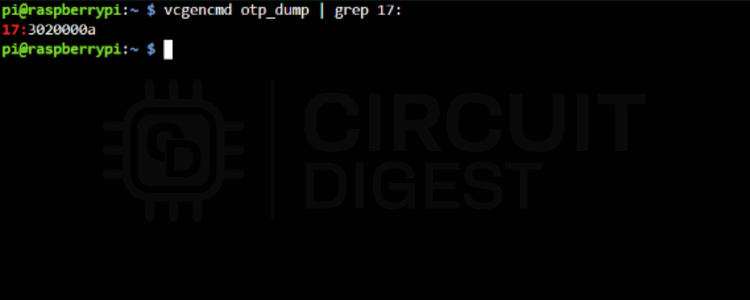 OTP Verification to Boot Raspberry Pi from USB 