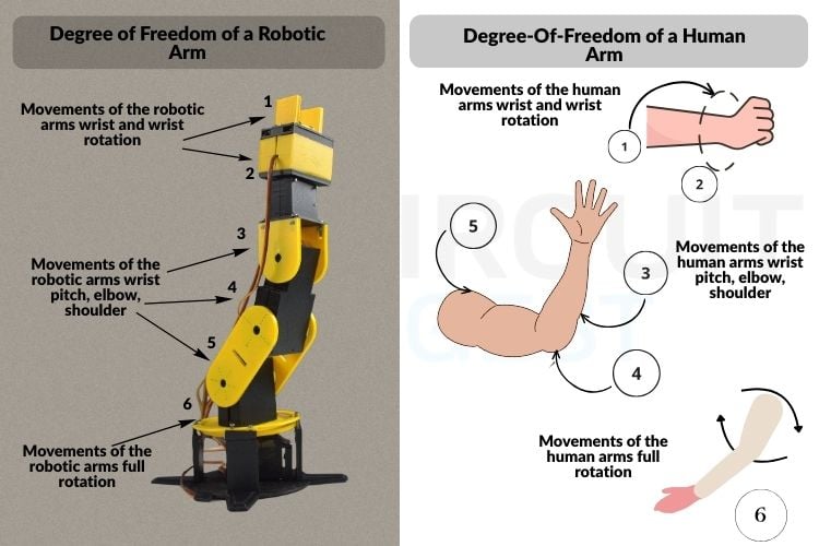Comparison Between Human Arm and Robotic Arm