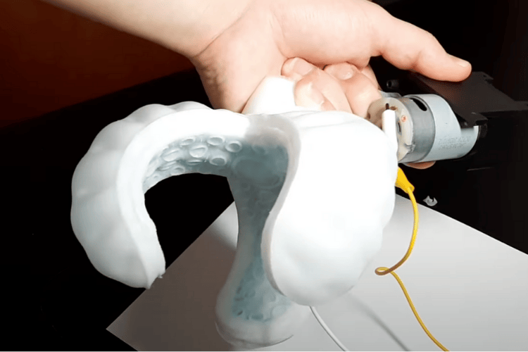 DIY Soft Robotic Gripper