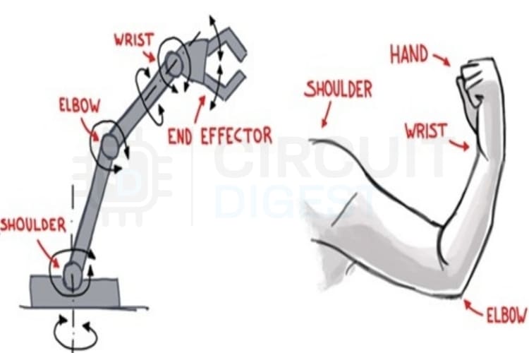 Robotic arm anatomy diagram comparing human arm joints to mechanical joints in 6-axis configuration