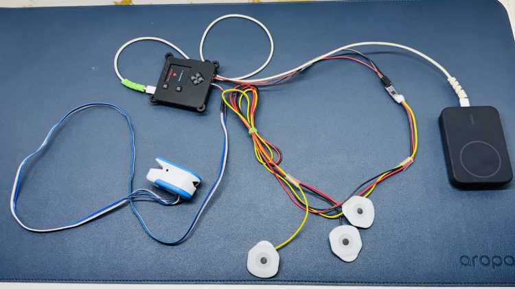 Emergency Detection System