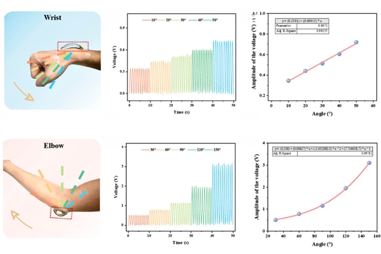 Graph showing the correlation between wrist and elbow movements and their respective voltage and frequency outputs.