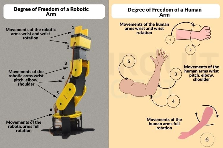 Comparison between human arm anatomy and robotic arm mechanical structure showing corresponding joints