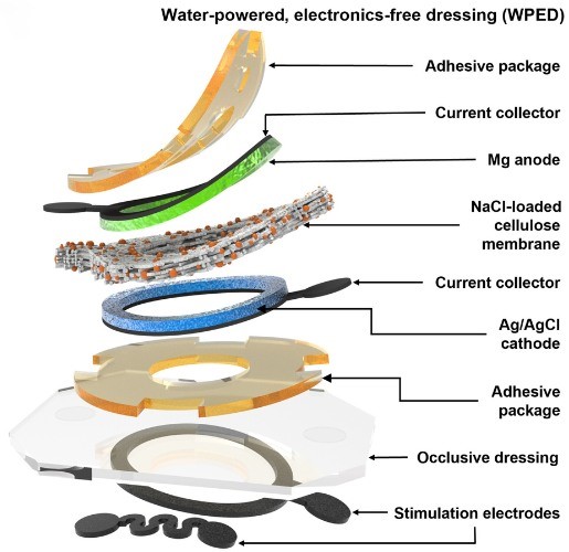 "Internal construction of WPED"