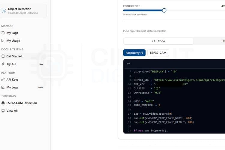 Python object detection code for Raspberry Pi inside Thonny IDE showing API configuration variables