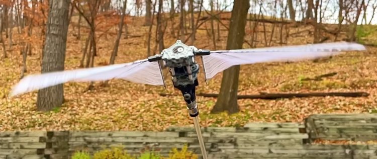Pioneers Ornithopter Project Aiming for Vertical Flight