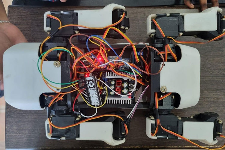 Quadruped Robot Dog Top View