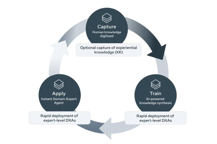 The DXA lifecycle