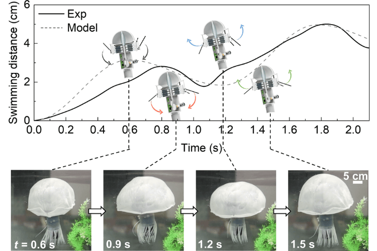 Working of Jellyfish Robot