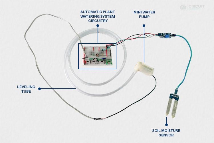 Assembling the Components of Plant Watering System