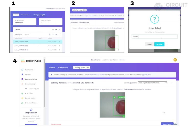 Procedures for Labeling the Objects in EdgeImpluse