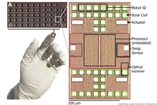The microbots are produced in a sheet (top left) roughly the area of a fingertip (bottom left).