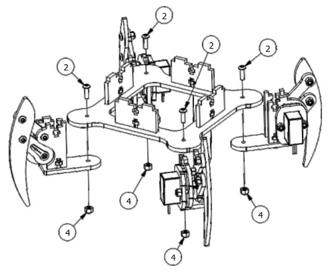 quadruped spider robot assembly