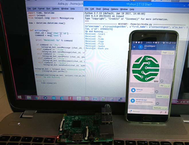 using telegram app with Raspberry-pi